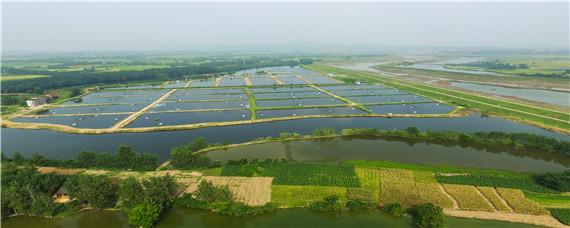 甲鱼养殖基地 贵州哪里有甲鱼养殖基地