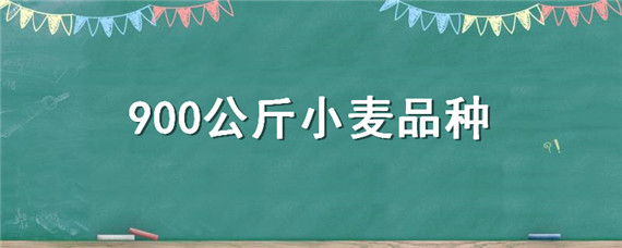 900公斤小麦品种 山东900公斤小麦品种