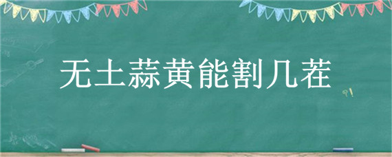 无土蒜黄能割几茬（蒜黄可以割几茬）