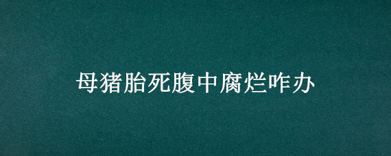 母猪胎死腹中腐烂咋办（母猪死胎在肚子里腐烂）