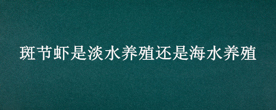 斑节虾是淡水养殖还是海水养殖 斑节虾养殖的和野生的有什么不同?