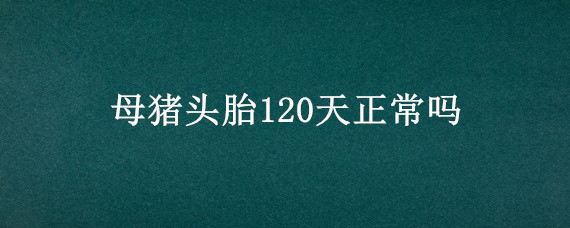 母猪头胎120天正常吗（头胎母猪120天不生产怎么办）