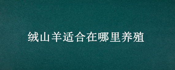 绒山羊适合在哪里养殖 绒山羊适合在什么地区养