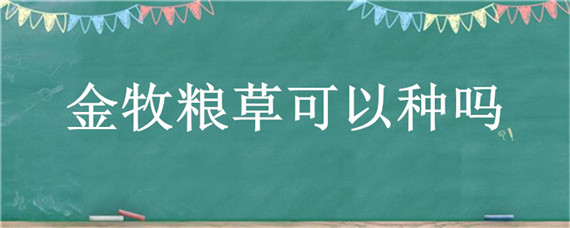 金牧粮草可以种吗 金牧粮草有什么用