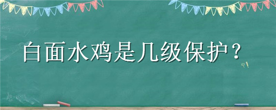 白面水鸡是几级保护（白面水鸡保护级别）