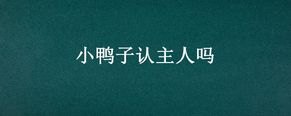 小鸭子认主人吗（小鸭子认主人吗?巴士做了个实验）