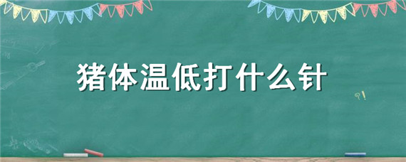 猪体温低打什么针 母猪体温低打什么好