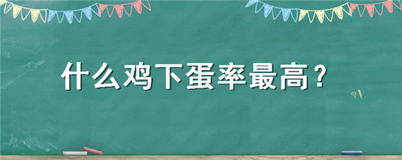 什么鸡下蛋率最高 哪种鸡下蛋最多