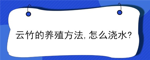 云竹的养殖方法,怎么浇水?（云竹怎么浇水施肥）