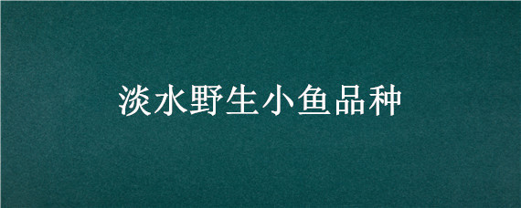 淡水野生小鱼品种 淡水小鱼品种