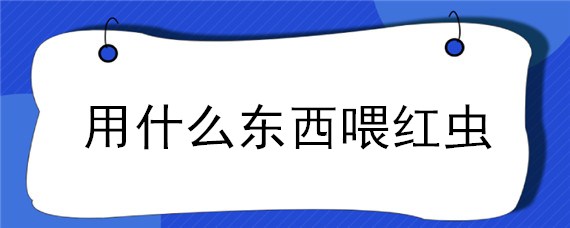 用什么东西喂红虫（喂红虫的好处）