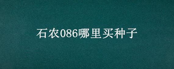 石农086哪里买种子（哪里有卖的石农086小麦种子）