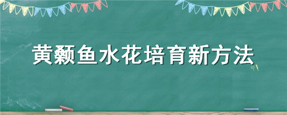 黄颡鱼水花培育新方法 黄颡鱼苗的培育技术