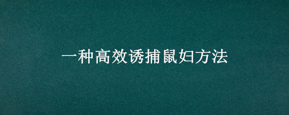 一种高效诱捕鼠妇方法（鼠妇的捕捉方法）