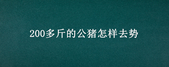 200多斤的公猪怎样去势（200多斤的公猪怎样去势需要缝合吗）