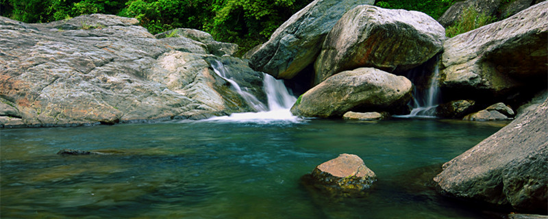 水绵是什么生物（水绵是水生植物吗）