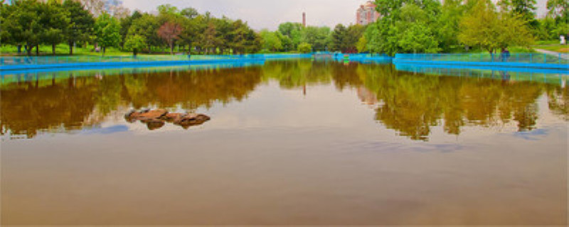 龙虾塘水浑浊怎么办 龙虾塘水浑浊怎么办?