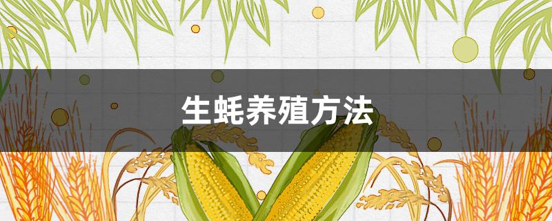 生蚝养殖方法（生蚝养殖方法淡水）