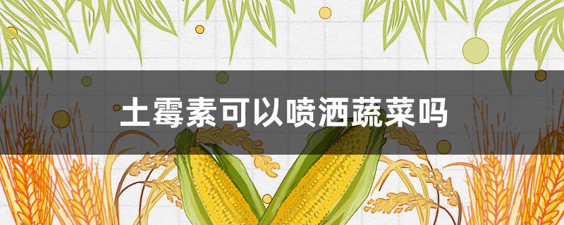 土霉素可以喷洒蔬菜吗 土霉素喷施蔬菜杀菌效果