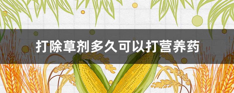 打除草剂多久可以打营养药（打完除草剂几天可以打营养药）