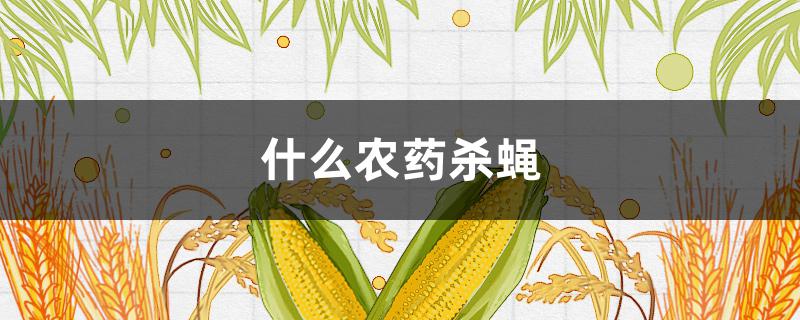 什么农药杀蝇 什么农药杀蝇最有效果