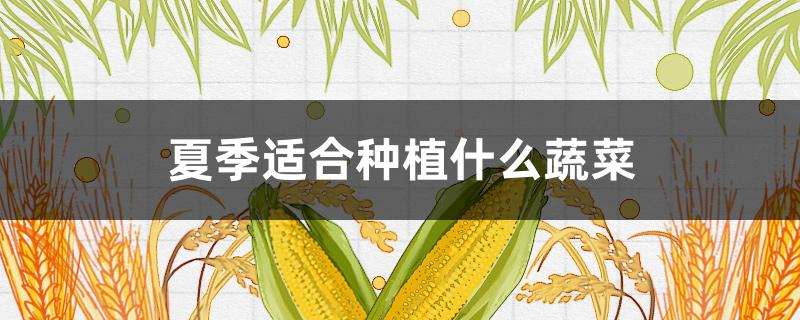 夏季适合种植什么蔬菜 山东夏季适合种植什么蔬菜