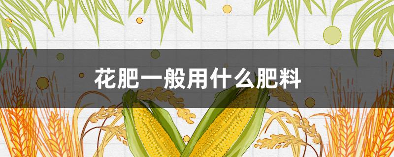 花肥一般用什么肥料（花肥用什么肥料好）