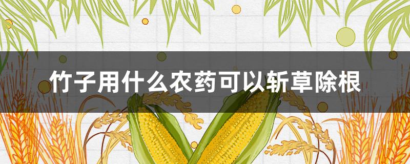 竹子用什么农药可以斩草除根（什么除草剂能杀死竹子根）