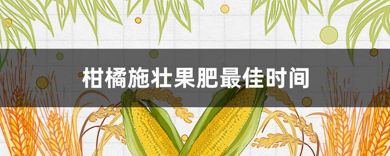 柑橘施壮果肥最佳时间 柑橘施基肥最佳时间