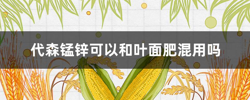 代森锰锌可以和叶面肥混用吗（硼肥和代森锰锌可以配用吗）