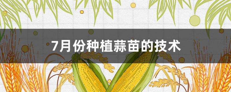 7月份种植蒜苗的技术（7月份种植蒜苗的技术要点）