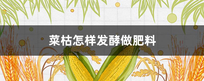 菜枯怎样发酵做肥料（菜枯发酵多久可施肥）