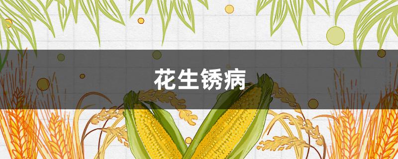 花生锈病 花生锈病叶斑病用什么杀菌剂