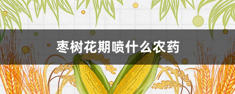 枣树花期喷什么农药（枣树初花期喷什么药）