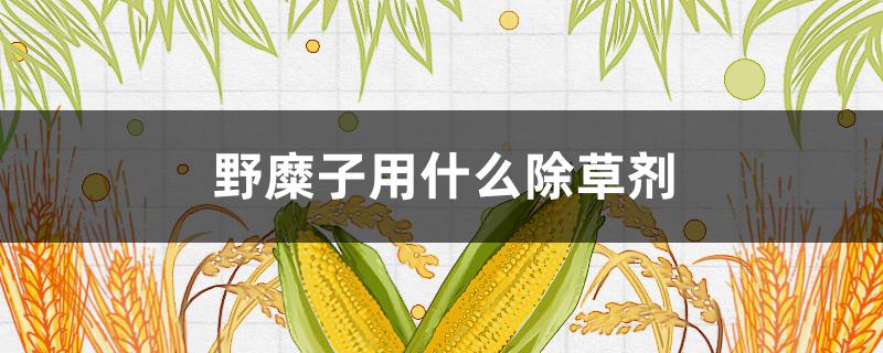 野糜子用什么除草剂 野糜子用什么除草药