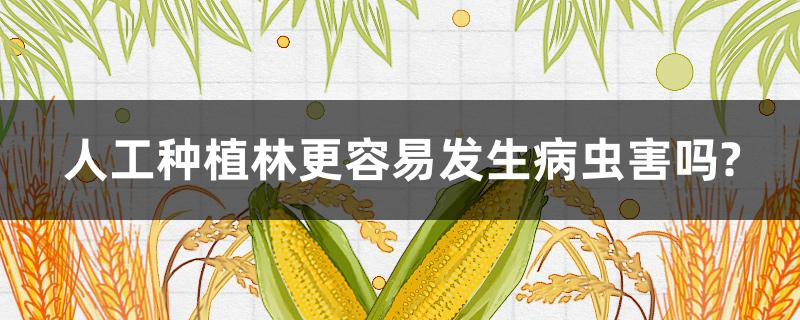 人工种植林更容易发生病虫害吗?（人工种植林为什么更容易发生病虫害）