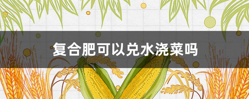 复合肥可以兑水浇菜吗（复合肥可以兑水浇菜苗吗）