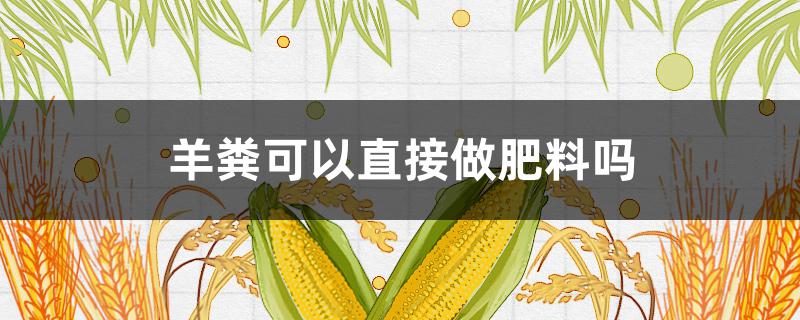 羊粪可以直接做肥料吗（羊粪可以直接做肥料吗?）