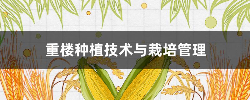 重楼种植技术与栽培管理（重楼种植技术与栽培管理的书）