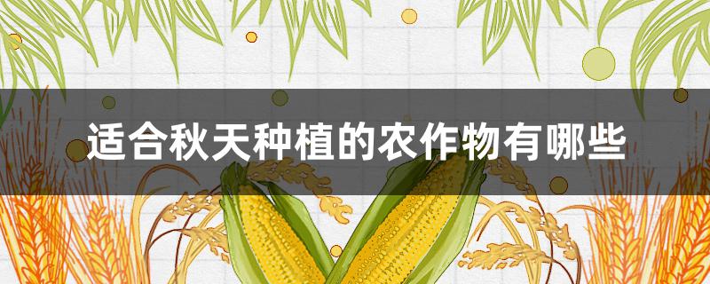 适合秋天种植的农作物有哪些 秋天适合种植什么农作物