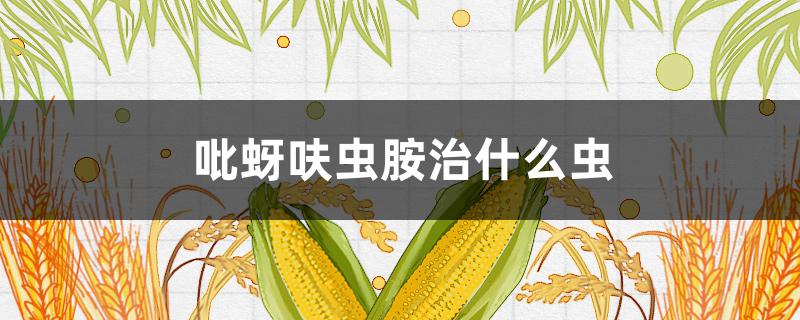 吡蚜呋虫胺治什么虫（吡蚜.呋虫胺使用方法）