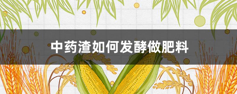 中药渣如何发酵做肥料 中药渣如何发酵做肥料这个肥料给什么树上最好的