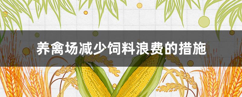 养禽场减少饲料浪费的措施（提出工厂化养禽生产中减少饲料浪费的措施）