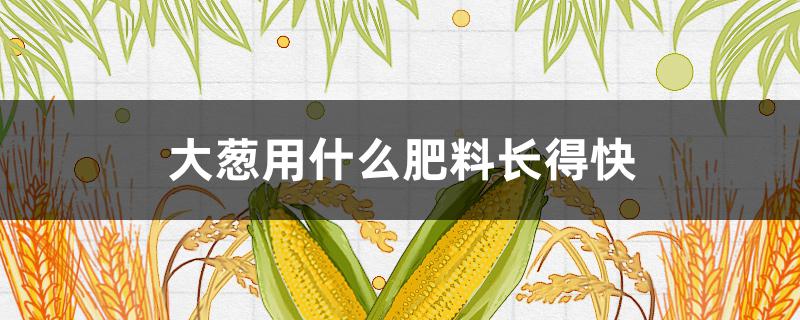 大葱用什么肥料长得快（大葱上什么肥料好）