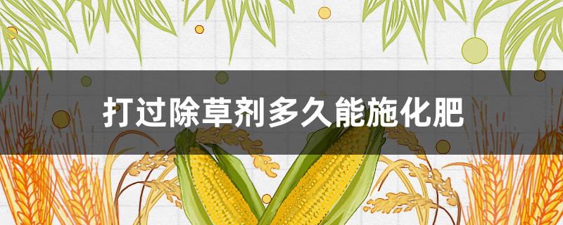 打过除草剂多久能施化肥（打完除草剂能追肥料吗）