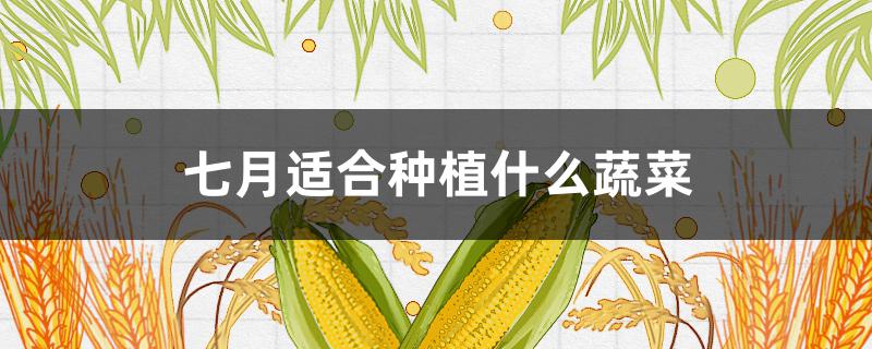 七月适合种植什么蔬菜 广东七月适合种植什么蔬菜