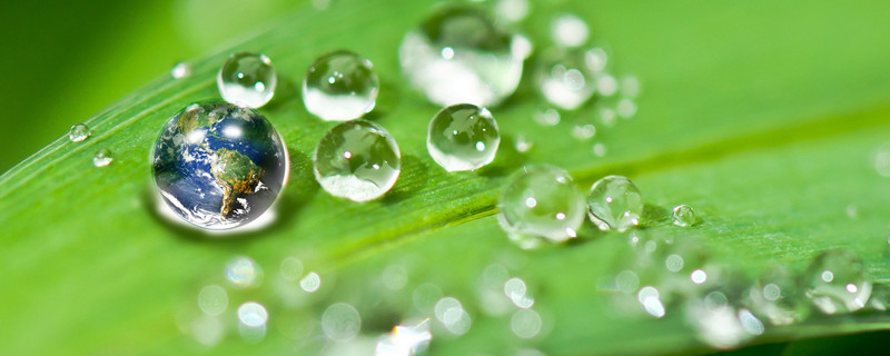 打除草剂有露水可以打吗（打除草剂有露水能打吗）