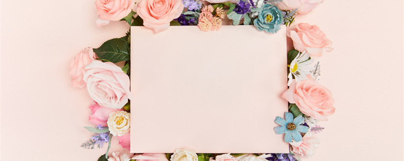 肉色玫瑰的花语(肉色玫瑰花代表什么)