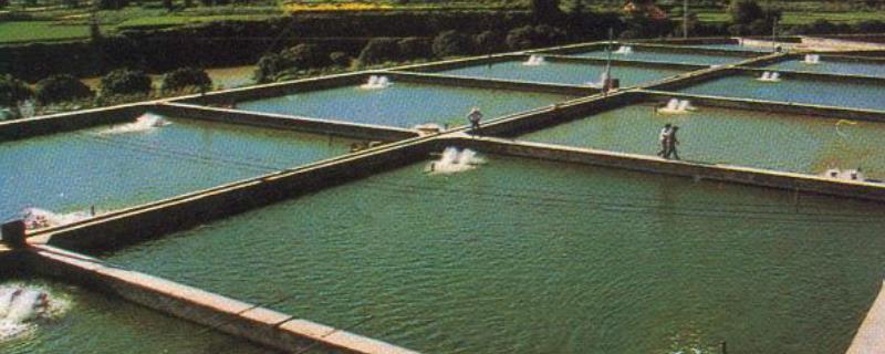 淡水养殖，附生产方式 淡水养殖的条件
