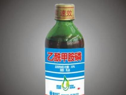 乙酰甲胺磷杀什么虫 乙酰甲胺磷治什么虫